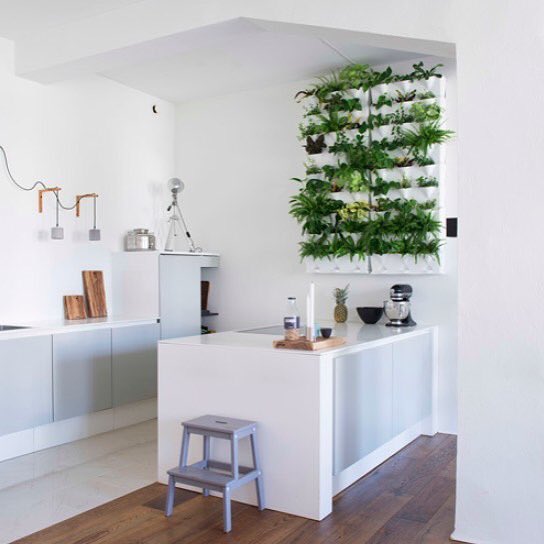 Minigarden vertical kitchen garden verticale tuin geplaatst in een moderne keuken. Urban green revolution