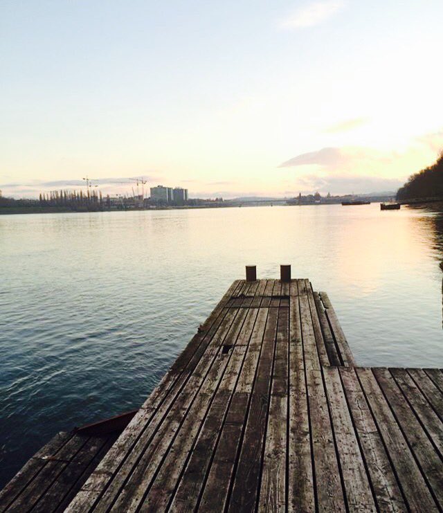 We Love Sziget tweet media