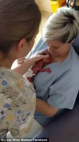 MyrnaDoumit's tweet photo. Cette vidéo émouvante va vous mettre les larmes aux yeux @Annahar https://t.co/LRaLJzzCAF https://t.co/X0wGEEg6mL