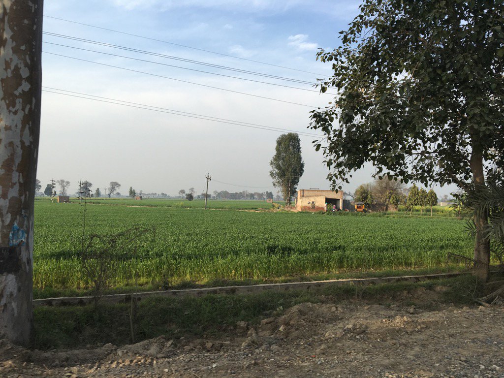 Tegbir Brar tweet media