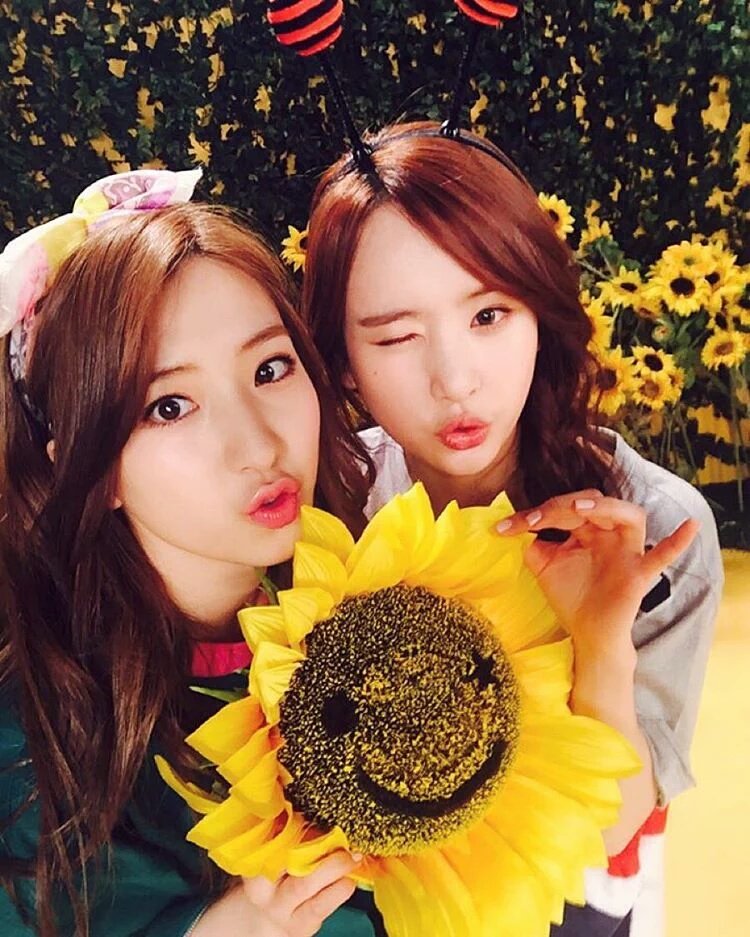 CcDupU_UMAAeG4B.jpg:large