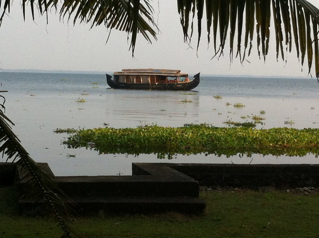 manjulasidhan's tweet photo. #amwriting #kerala #godsowncountry https://t.co/85sSgiOpBo https://t.co/dRW4aIFZjB