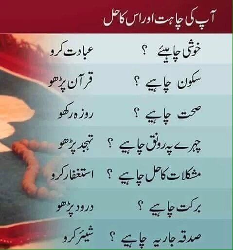 mamoonabazmi's tweet photo. #PeaceConferenceByPAT @TahirulQadri @DrHussainQadri @waniamustafavi @anshaalfatima1 @hamza_mansoor https://t.co/PGA5EoCoKS