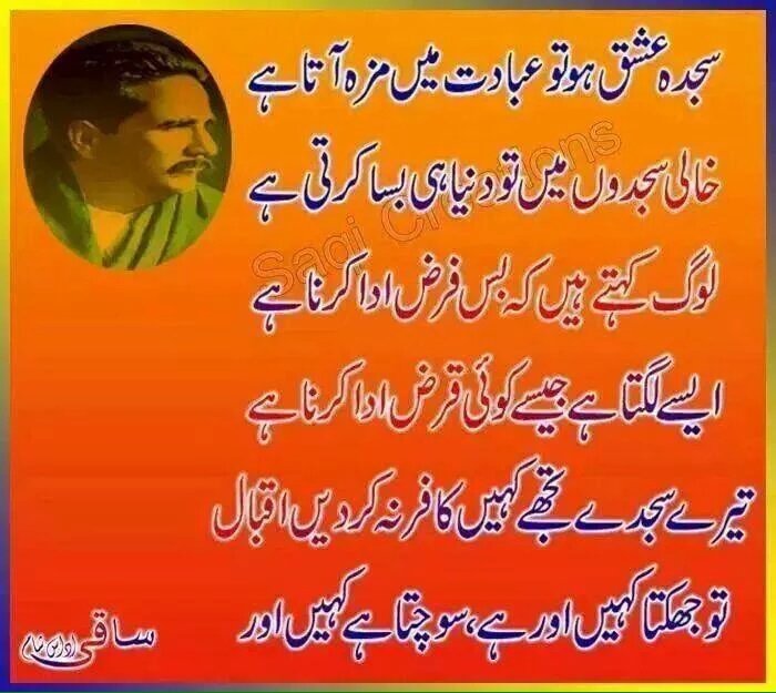 mamoonabazmi's tweet photo. #PeaceConferenceByPAT @TahirulQadri @DrHussainQadri @waniamustafavi @anshaalfatima1 @hamza_mansoor @MalikZain92 https://t.co/1D2JkDKYuF