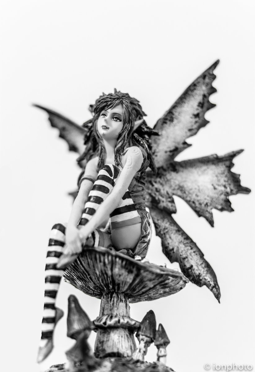 ionphotography's tweet photo. #Fairy #toy #indoors #nikon #lightroom hope you like it :) https://t.co/KJjlHSTphY