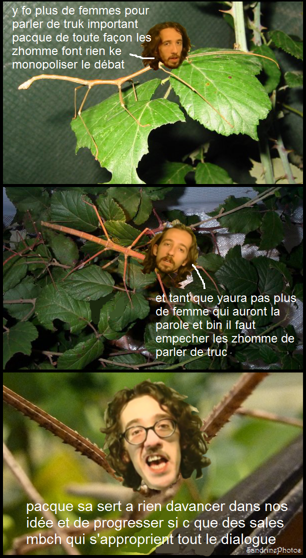UsulPhasme's tweet photo. Pour la #parité ! Sinon on reste sur place ! #EgalitéFH #stopsexisme https://t.co/GkgV8zsjsi