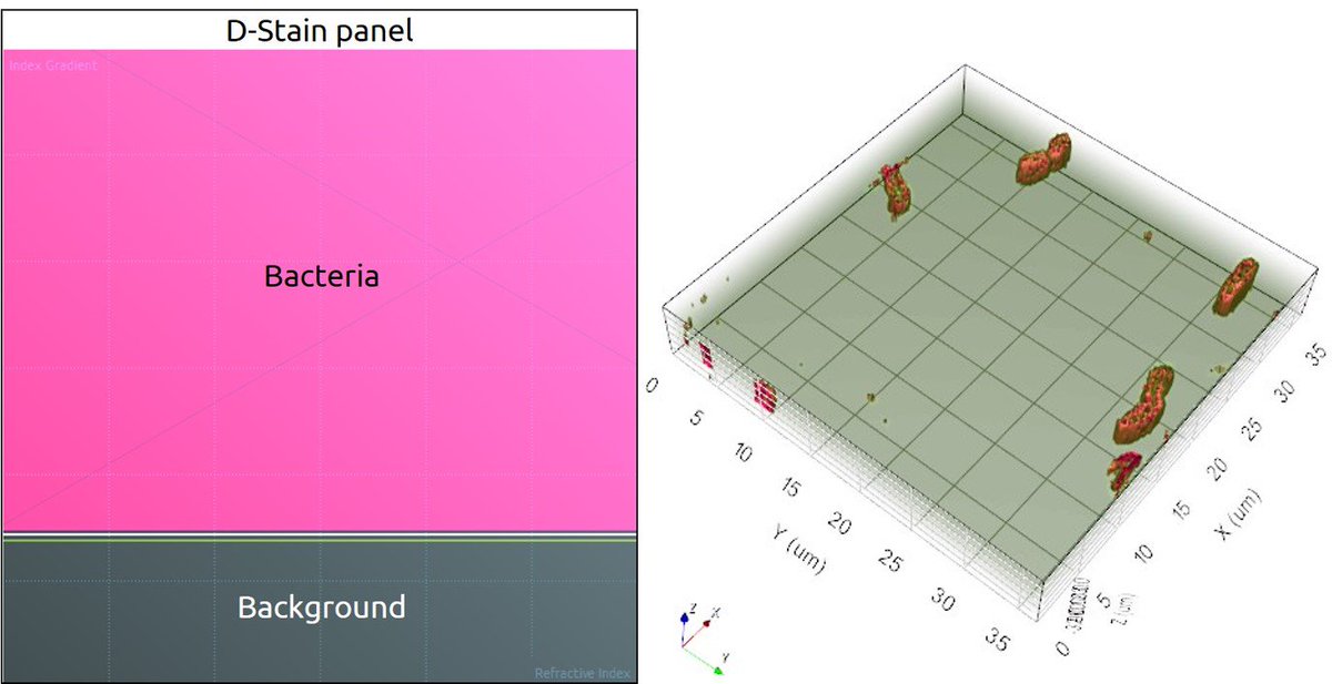 NanoLiveLtd's tweet photo. Have you ever wondered how to measure cell volumes with high precision? https://t.co/flxE3ZS2ot #booth810 #bps16 https://t.co/gMED2mB3eW
