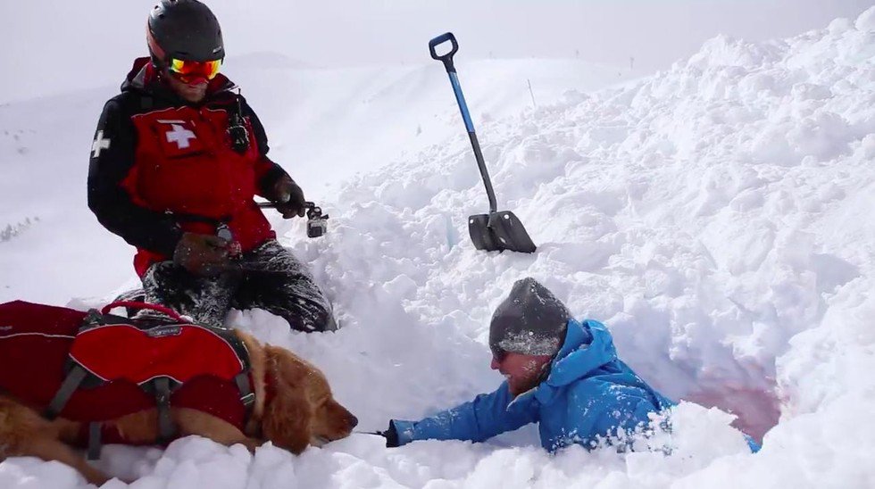 funygirll's tweet photo. RT @dodo: Amazing behind the scenes look at the work of an avalanche rescue dog https://t.co/pT7voNk49A https://t.co/71Fv6d7Ycc
