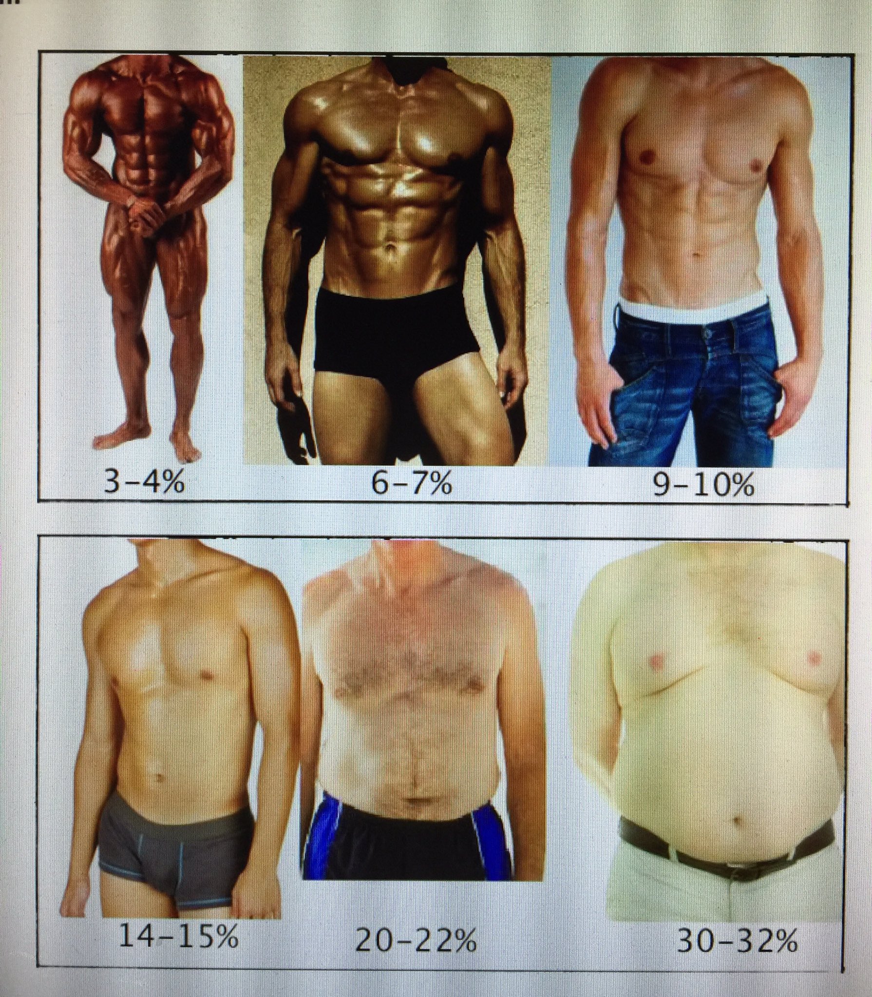 Pete McKenzie on Twitter: "Body fat percentages. What body type do you  think best represents Pablo? #17% Wait it's not there? #controversy  https://t.co/yiK1j4OcRw" / Twitter