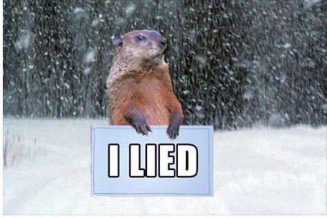 penwellins's tweet photo. Wow! The weather is nasty today! How many of you guys are feeling this right about now? #overwinter #bringusspring https://t.co/bEIFan2jv6