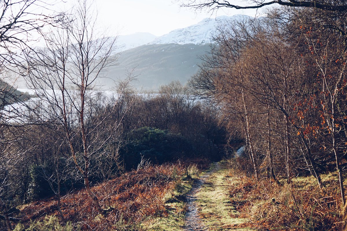 photo_synth's tweet photo. Well beaten path 
#VSCO #vscocam #vscolandscape #landscape #landscapephotography #Scotland #VisitScotland #photo https://t.co/EaTdJMoFQj