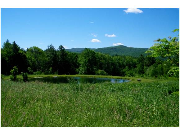 Kelley_RE's tweet image. 35 Acres Near Belmont homes-for-sale.kelleyrealestate.com/idx/details/li… #vtland #okemo #vtrealestate #mounthollyvt