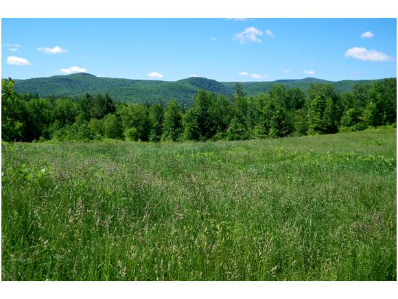 Kelley_RE's tweet image. 35 Acres Near Belmont homes-for-sale.kelleyrealestate.com/idx/details/li… #vtland #okemo #vtrealestate #mounthollyvt