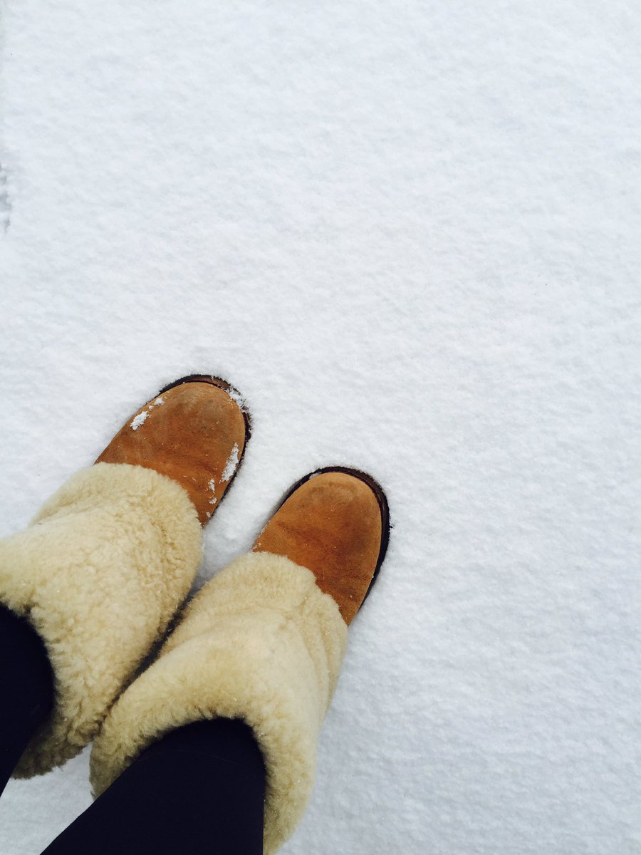 mucci002's tweet photo. Just when I thought it was over ❄️❄️❄️ #urback https://t.co/eLuwWX8OvX