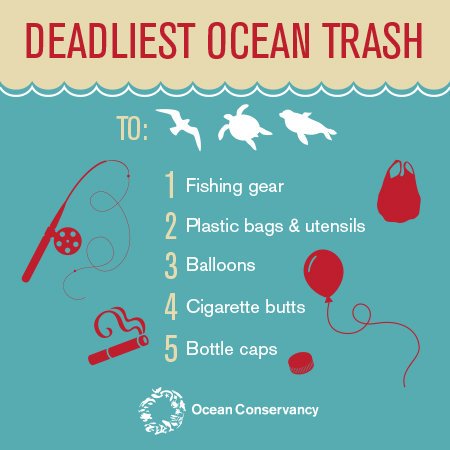 OurOcean's tweet photo. What’s the deadliest trash in #ourocean? Read the study by Ocean Conservancy and @CSIROnews. https://t.co/9a9Sllaeam https://t.co/U6cr67e4JY