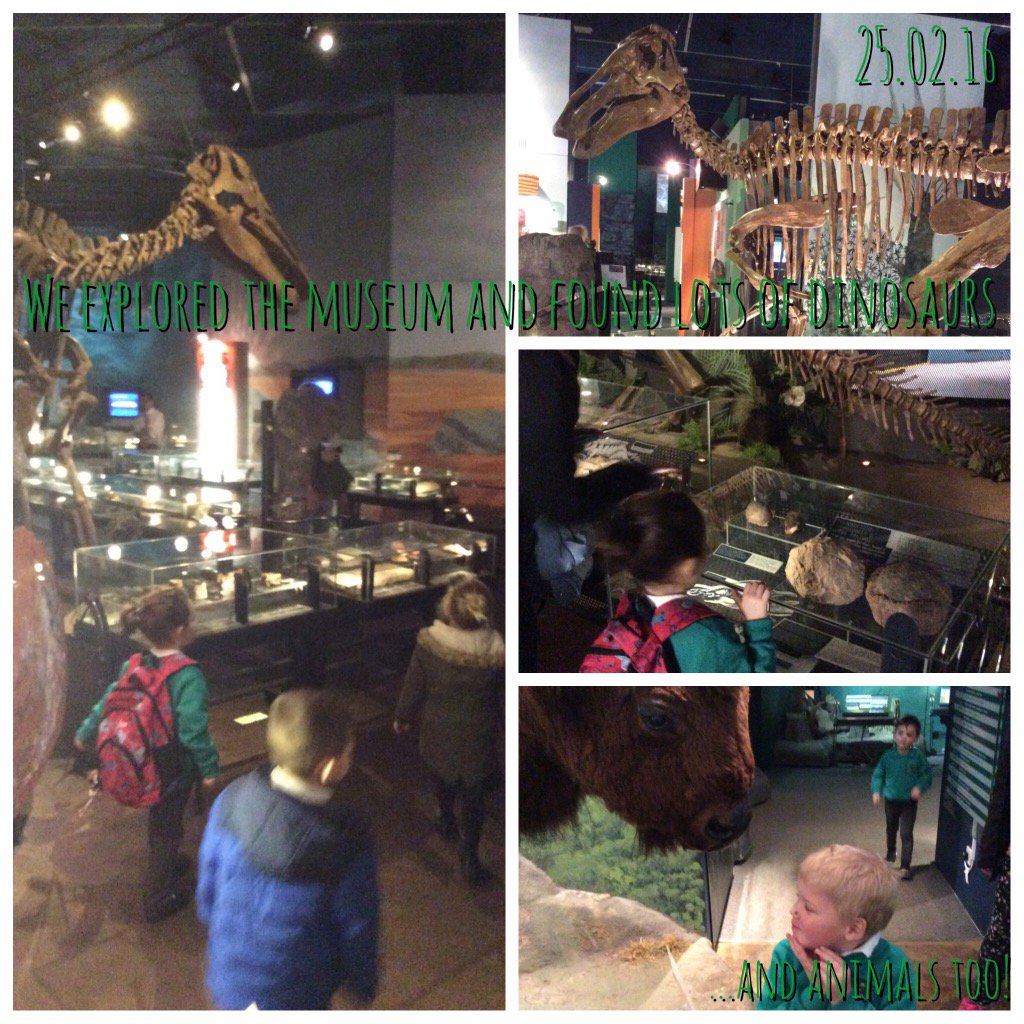 Springwood_Prm's tweet photo. Then #Dosbarthcardiff explored the rest of the museum, can you see what we found?#springscience #Springhistory https://t.co/nacftpFcho