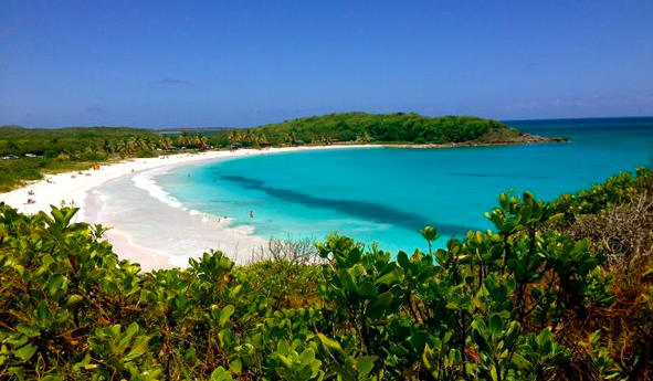 MissBarila's tweet photo. Ready for some experiential learning in Vieques, Puerto Rico. Project Week can't come soon enough! @NHSProjectWeek https://t.co/ht40iRU5ba
