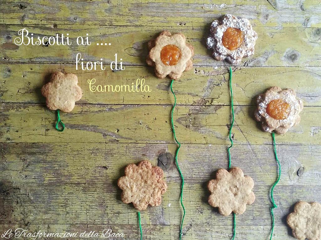 BachiniMarcella's tweet photo. Oggi è sbocciata la #primavera in anticipo , sia fuori che dentro casa ...
https://t.co/L4Gobzhyup https://t.co/0UXdrzRkRc