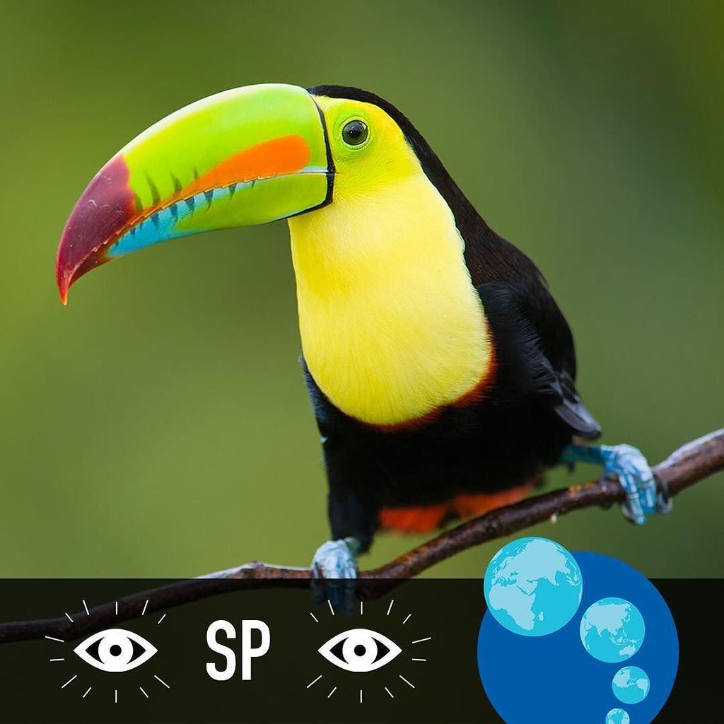 APIabroad's tweet photo. Discover where in the world #ispyapi will take you at https://t.co/3k41azjqdG #studyabro… https://t.co/NlCcV0kbrQ https://t.co/C8GVpOBWpS