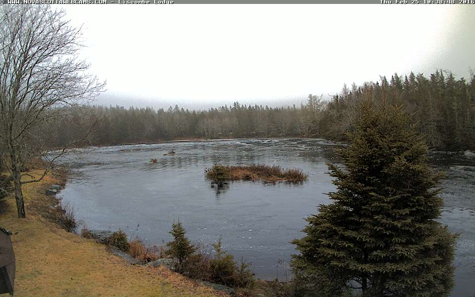 nswebcams's tweet photo. Live from #Liscomb!
https://t.co/0qxCiYK7CQ @LiscombeLodge
-> visit and like us for more! https://t.co/gfqzDrGqZ6