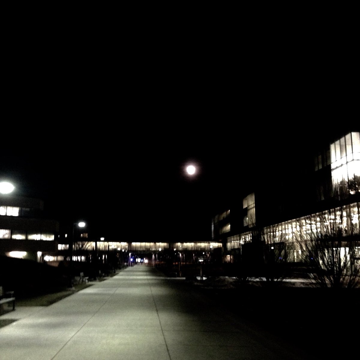 MissKnight19's tweet photo. It was a 'full moon day' after all on Tuesday ! @MrBoland32 https://t.co/VNSC3P388G