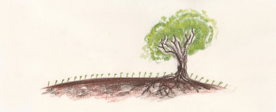 TheTreeHub's tweet image. 1 LIVRE 📖 = 1 ARBRE 🌳 - à découvrir sur thetreehub.com/campagnes-196/… #reforestation