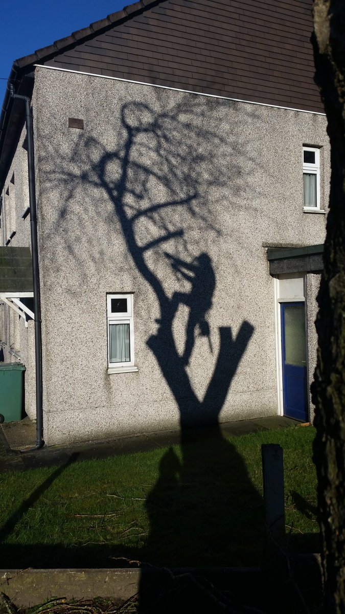 elmhousetrees's tweet photo. It's a lovely day to be removing a cherry tree in Bury.
:D https://t.co/60yI0XwgWH