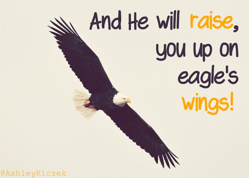 Eagle Gallery and he will raise you up on eagles wings chords and lyrics