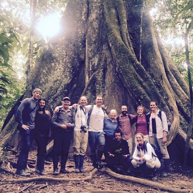 TheTimeTravller's tweet photo. Read about the Wishing Trees and Walking Trees of the Amazon in my blog … https://t.co/x4Fkg6a0wd https://t.co/UwHrMLeGne