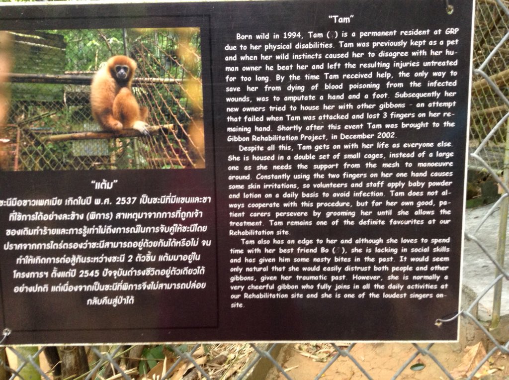 Loafy1987's tweet photo. *_* A Reality check, do not take photo's with animals on the streets, THEY BELONG IN THE WILD!!!! #Thailand #Phuket https://t.co/h7UIsOYR6X