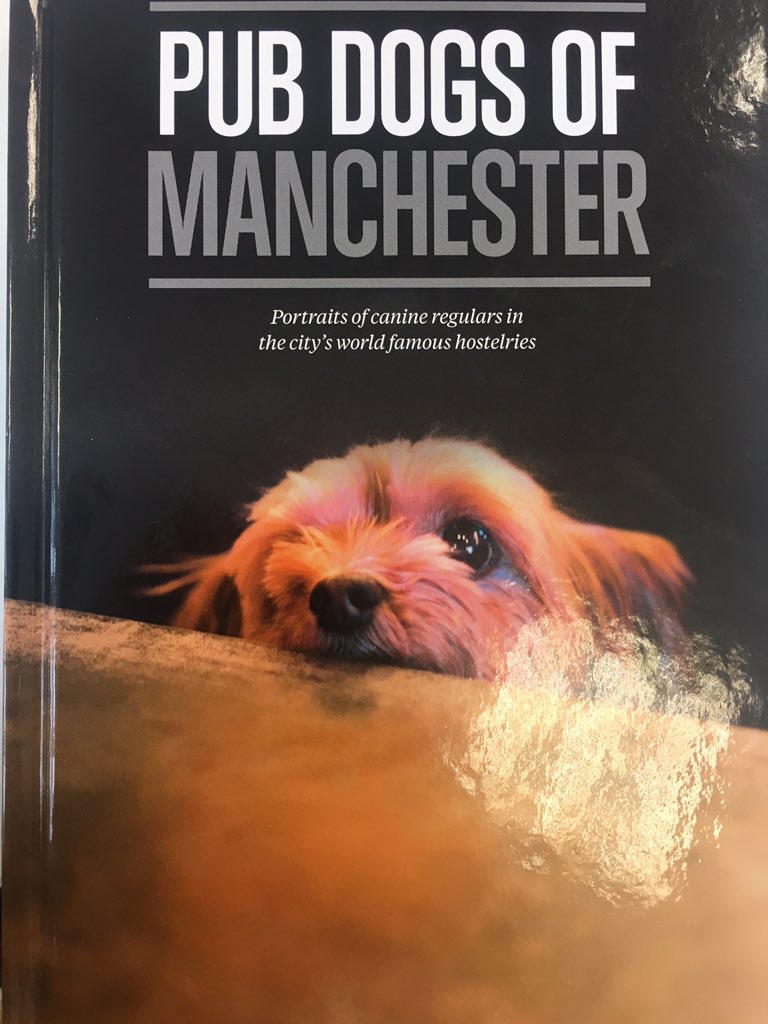 TunafishMedia's tweet photo. Great new addition to Tuna HQ. Cheers @georgie_glass, we love a dog. https://t.co/bzpG88xO8P