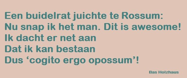BasHolzhaus's tweet photo. Dit kwam zomaar uit m'n toetsenbord. #lichtegedichten (ook op bestelling) https://t.co/2Pu5Tka5fE
