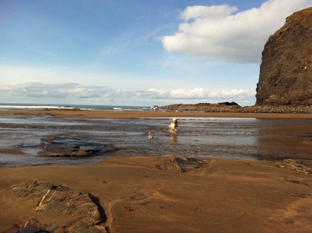 Jules Newton tweet media