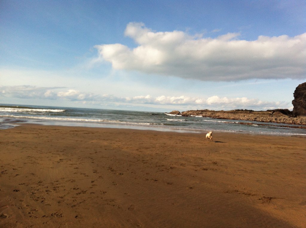 Jules Newton tweet media