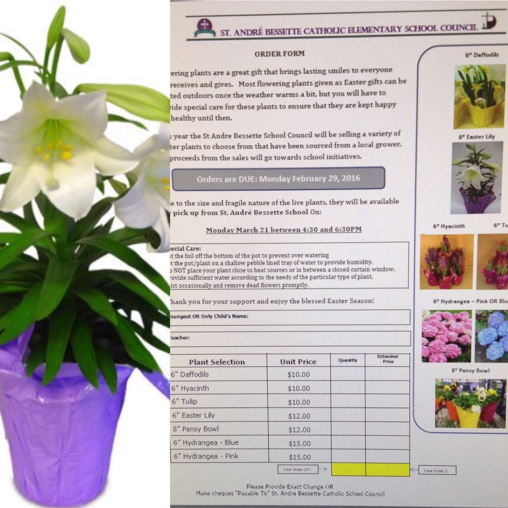 Ordered your spring flowers yet? Deadline is Feb. 29th! Don't miss out on #EasterLilies #Hydrangeas & more!!!🌸🌺🌷