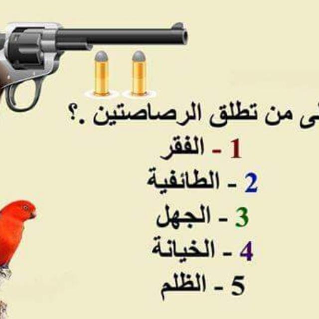 ala_hammad tweet picture