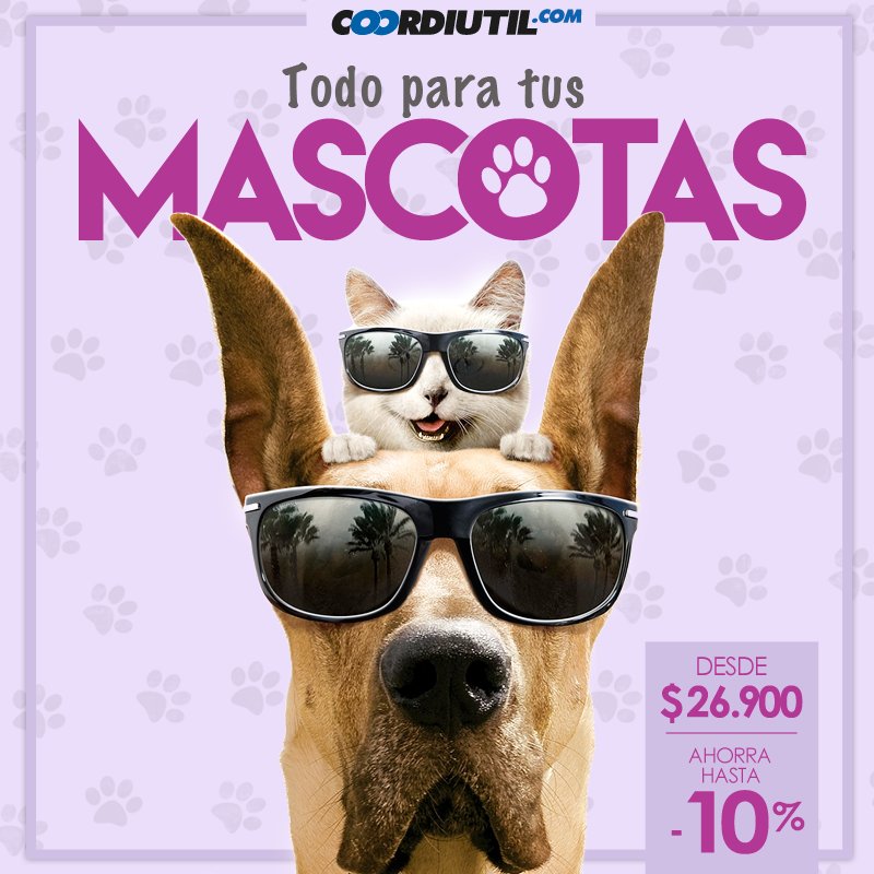 coordiutil's tweet image. Hablamos por ellos y te contamos lo que necesitan, #Ofertas increíbles para tu mascota goo.gl/UjwJxQ