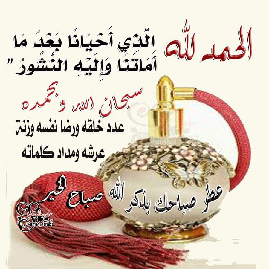 ala_hammad tweet picture