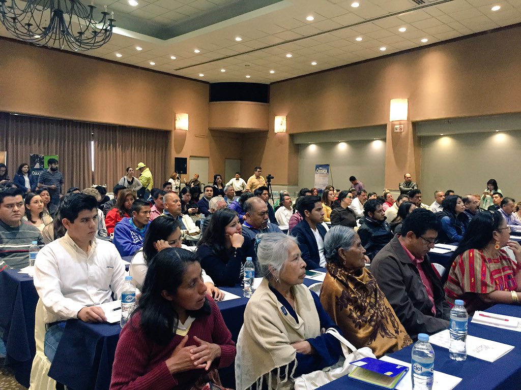 Turismo Oaxaca tweet media