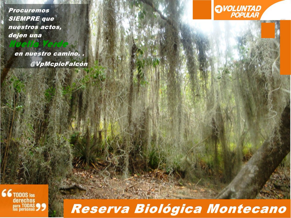 DrOrlandoDiazV's tweet photo. #ReservaBiologica #Montecano #Paraguana @VPMcpioFalcon @ecoVP @RedesEcologicas @DarioTremont #HuellaVerde https://t.co/0GAMvRxIzZ