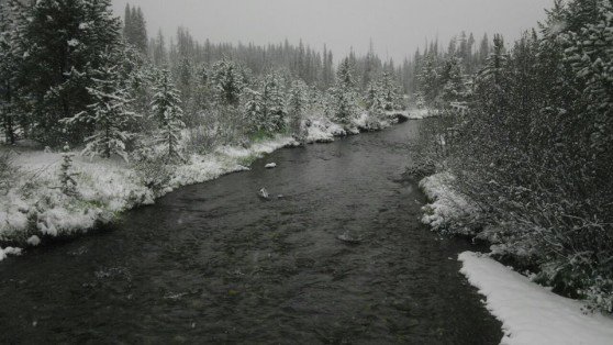 TroutUnlimited's tweet photo. Snowpack matters for health of #trout streams--good explanation of why. https://t.co/jwXzmdLxK7 #WaterForFish https://t.co/h5QRUETcE1