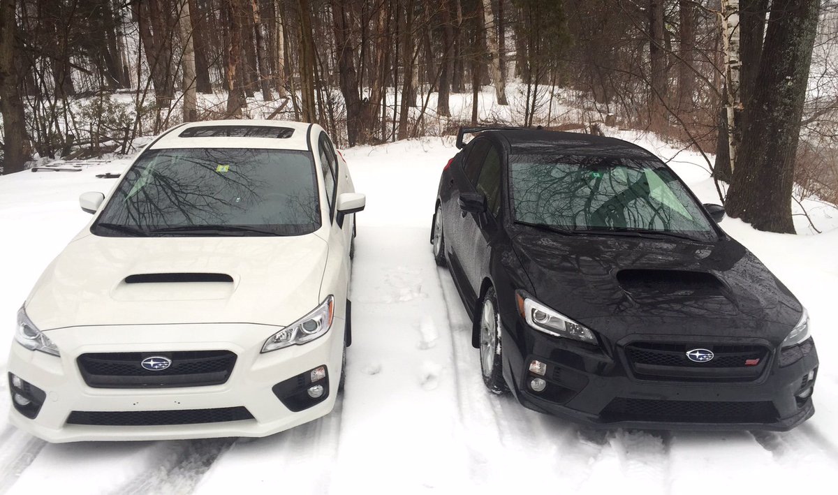 subaru_usa's tweet photo. #ItsaSubieThing (photo courtesy: Paul Swann &amp; Alicia Stone) https://t.co/SRPgRbQH51