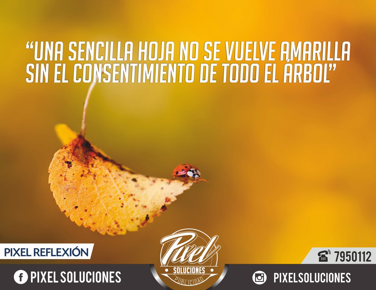 PIXELMONTERIA's tweet photo. https://t.co/pgfNPdTp9I