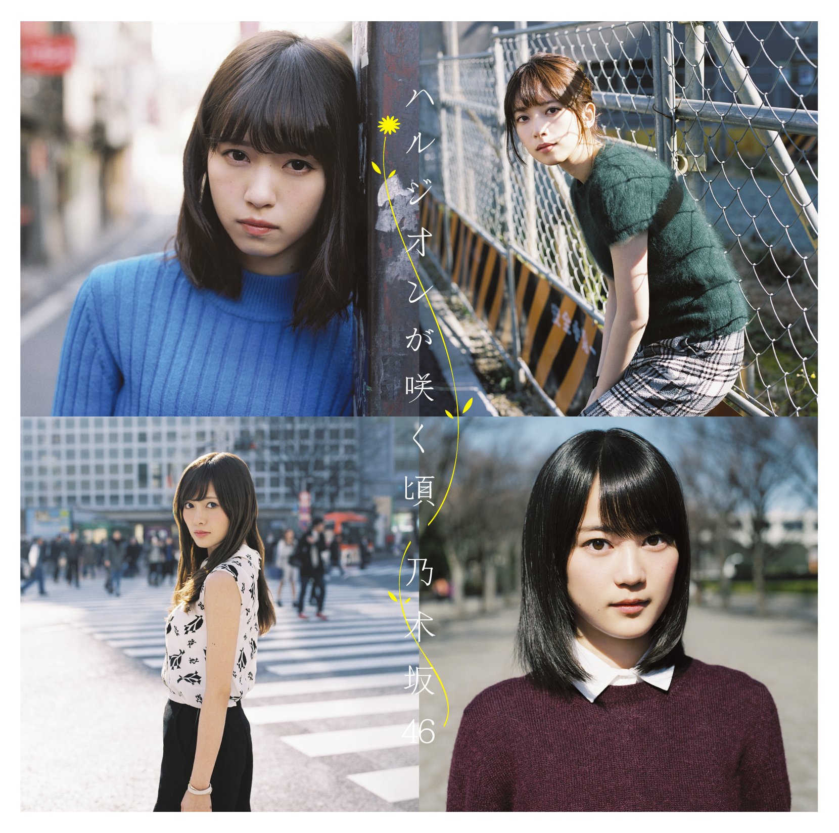 乃木坂46ハルジオンが咲く頃メンバー全員直筆サイン入りポスター Amazon.co.jp: 乃木坂46 ハルジオンが咲く頃 メンバー全員直筆