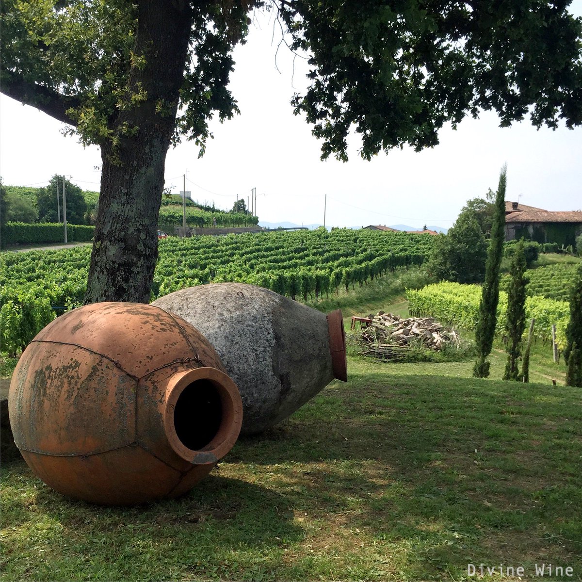 Divine Wine (@divinewineblog) / X