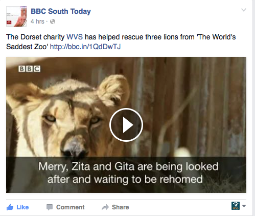 WVScharity's tweet photo. .@rickygervais and @MailOnline, thought you may want an update on the Armenia #lions: https://t.co/6jkfmQK1e0 https://t.co/5HjBL8YOZR
