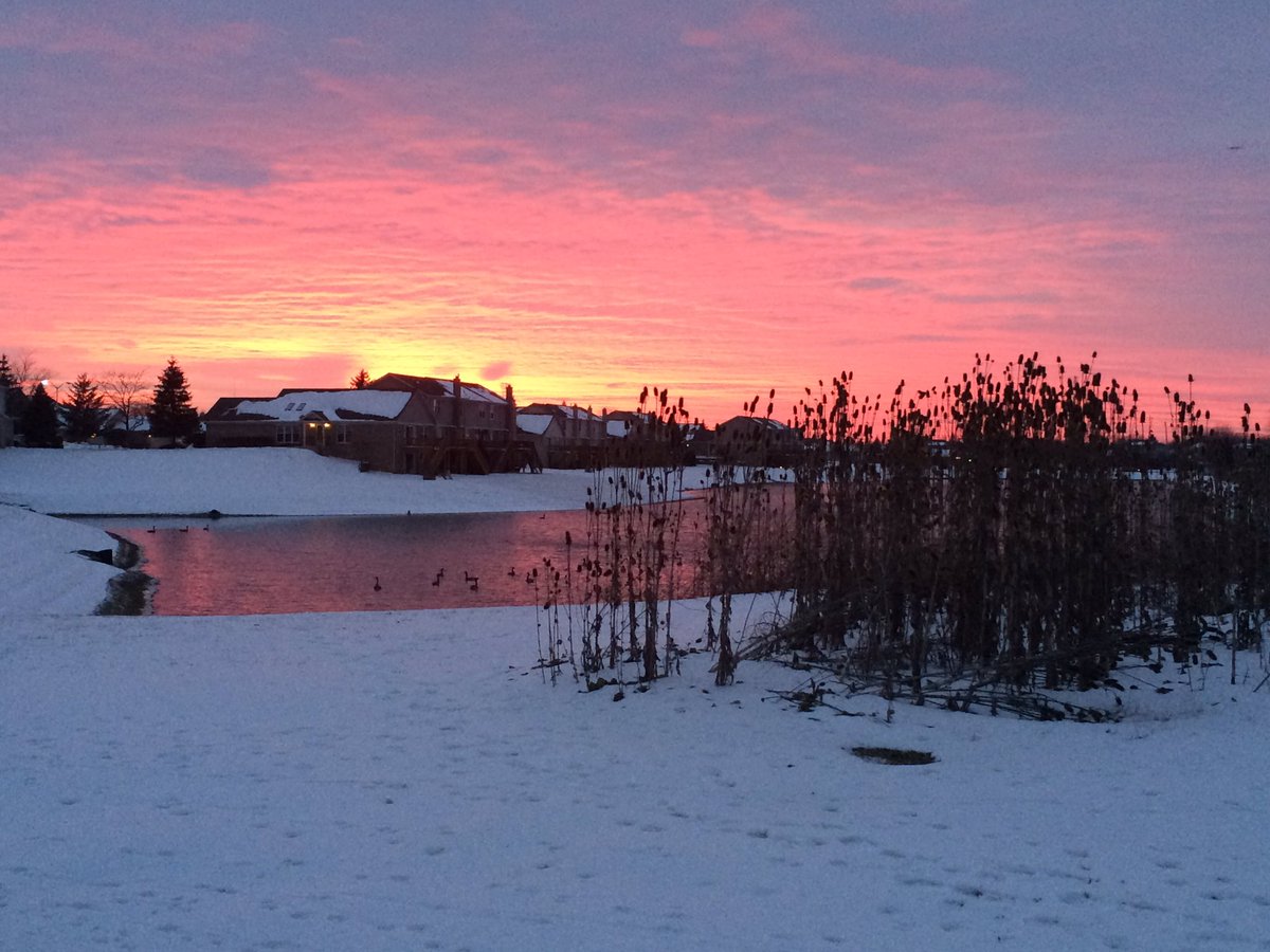 TWORChicago's tweet photo. Soon the #snow will thaw. Get outside and enjoy #nature. #Chicagoweather #cabinfever https://t.co/KreSVj7iYa