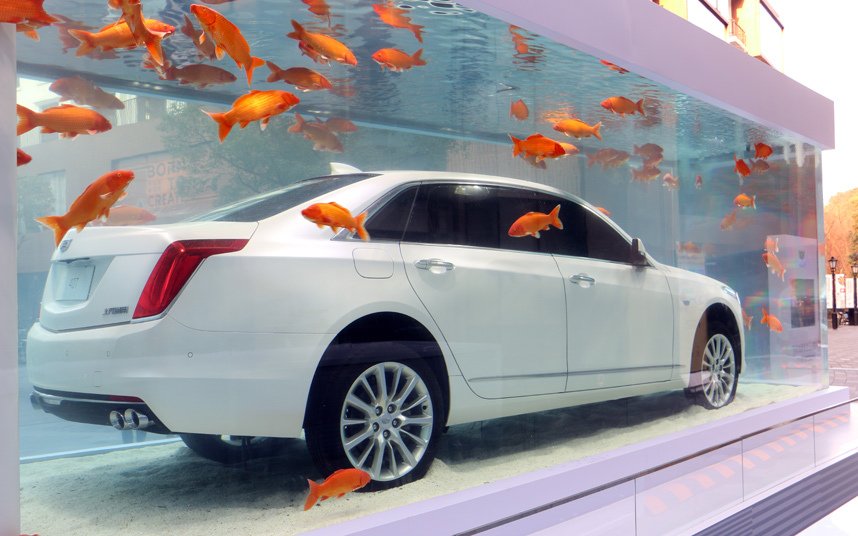 Geniustechw's tweet image. A fancy Caddilac car debuted inside a huge fish tank in Shanghai with some one hundred goldfish swimming around it