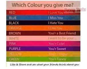 stefff_sk's tweet photo. Which colour you give me?.. https://t.co/PxFkN7F9FQ