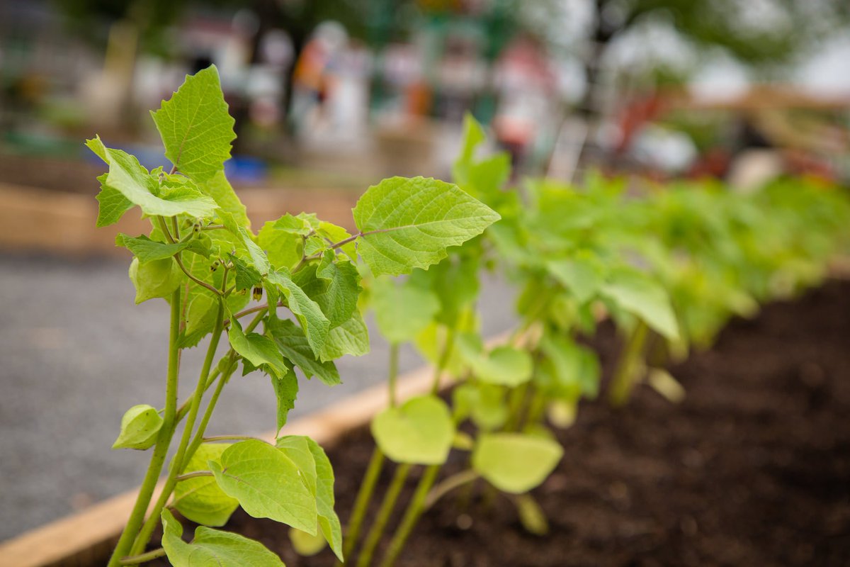 ZERO1 Montréal tweet media